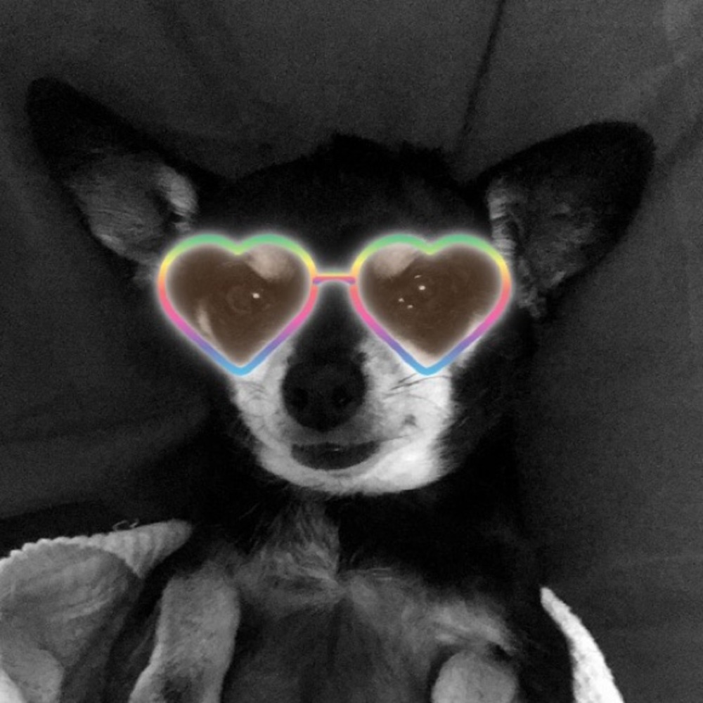 Meet your Posher, Alyssa